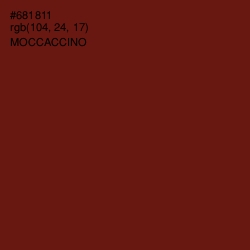 #681811 - Moccaccino Color Image