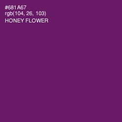 #681A67 - Honey Flower Color Image