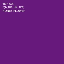 #681A7C - Honey Flower Color Image