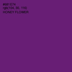 #681E74 - Honey Flower Color Image