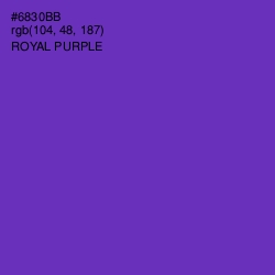 #6830BB - Royal Purple Color Image