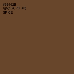 #68462B - Spice Color Image