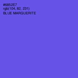 #6852E7 - Blue Marguerite Color Image