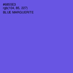 #6855E3 - Blue Marguerite Color Image