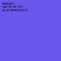 #6856ED - Blue Marguerite Color Image