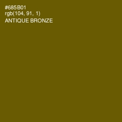 #685B01 - Antique Bronze Color Image