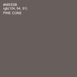 #685E5B - Pine Cone Color Image