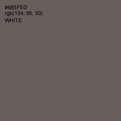 #685F5D - Pine Cone Color Image