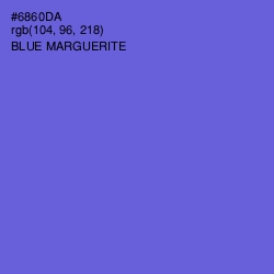 #6860DA - Blue Marguerite Color Image