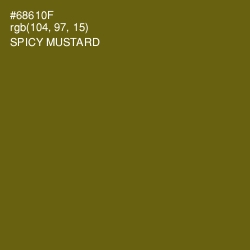 #68610F - Spicy Mustard Color Image