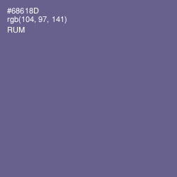 #68618D - Rum Color Image