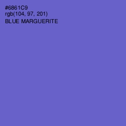 #6861C9 - Blue Marguerite Color Image