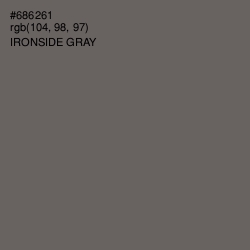 #686261 - Ironside Gray Color Image