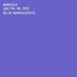 #6862CA - Blue Marguerite Color Image