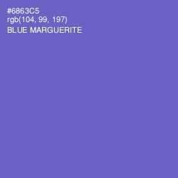 #6863C5 - Blue Marguerite Color Image