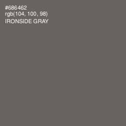 #686462 - Ironside Gray Color Image