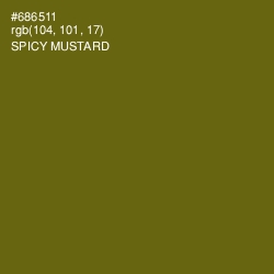 #686511 - Spicy Mustard Color Image