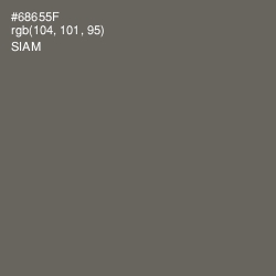 #68655F - Siam Color Image