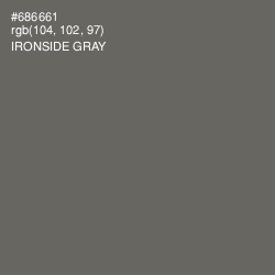 #686661 - Ironside Gray Color Image