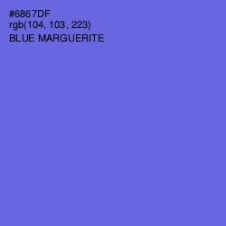 #6867DF - Blue Marguerite Color Image