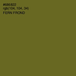 #686822 - Fern Frond Color Image