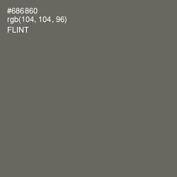 #686860 - Flint Color Image