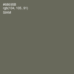 #68695B - Siam Color Image