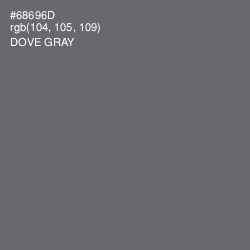 #68696D - Dove Gray Color Image