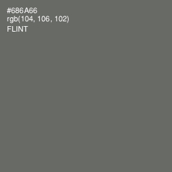 #686A66 - Flint Color Image