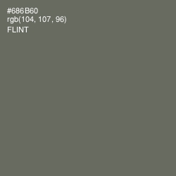 #686B60 - Flint Color Image