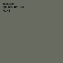 #686B60 - Flint Color Image