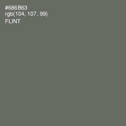 #686B63 - Flint Color Image