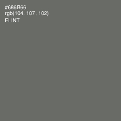 #686B66 - Flint Color Image