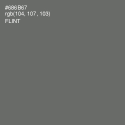 #686B67 - Flint Color Image
