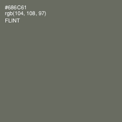 #686C61 - Flint Color Image