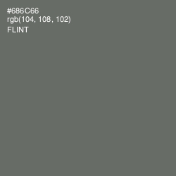 #686C66 - Flint Color Image