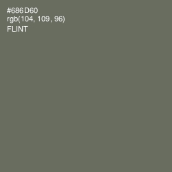 #686D60 - Flint Color Image