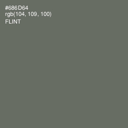 #686D64 - Flint Color Image