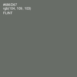 #686D67 - Flint Color Image