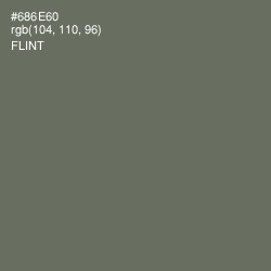 #686E60 - Flint Color Image