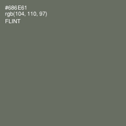 #686E61 - Flint Color Image