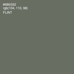 #686E62 - Flint Color Image