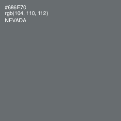 #686E70 - Nevada Color Image