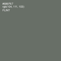 #686F67 - Flint Color Image