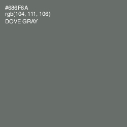 #686F6A - Dove Gray Color Image