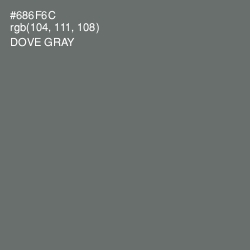 #686F6C - Dove Gray Color Image