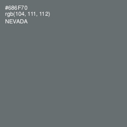 #686F70 - Nevada Color Image