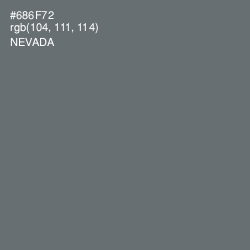 #686F72 - Nevada Color Image