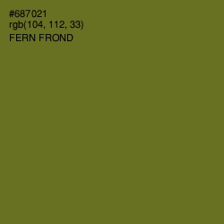 #687021 - Fern Frond Color Image