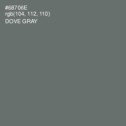 #68706E - Dove Gray Color Image